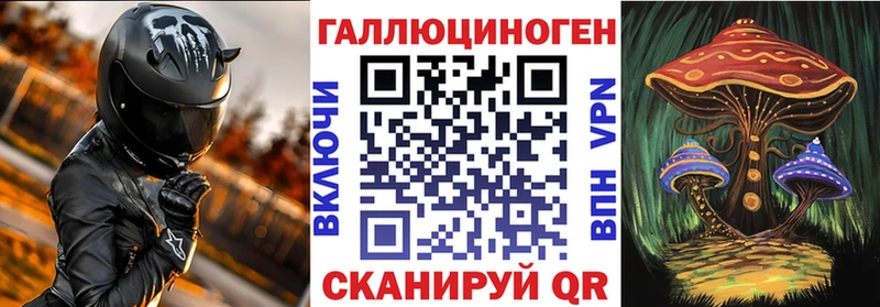 где купить Ядрин ОМГ ОМГ как войти Псилоцибиновые грибы MAGIC MUSHROOMS